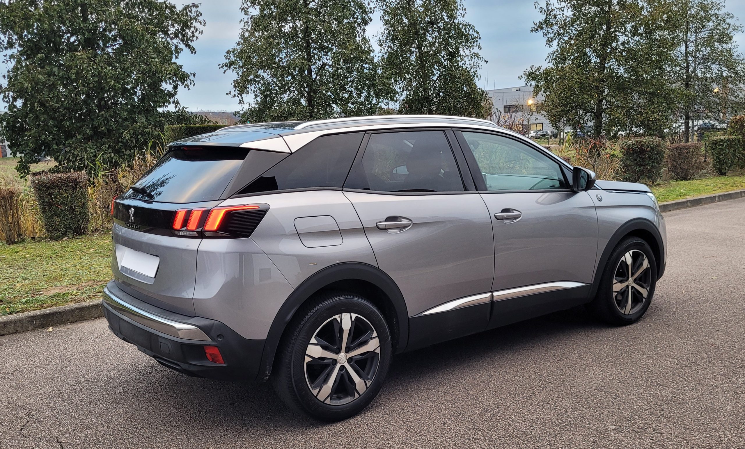 
								PEUGEOT 3008 1.6 BLUEHDI 120 EAT6 CROSSWAY full									
