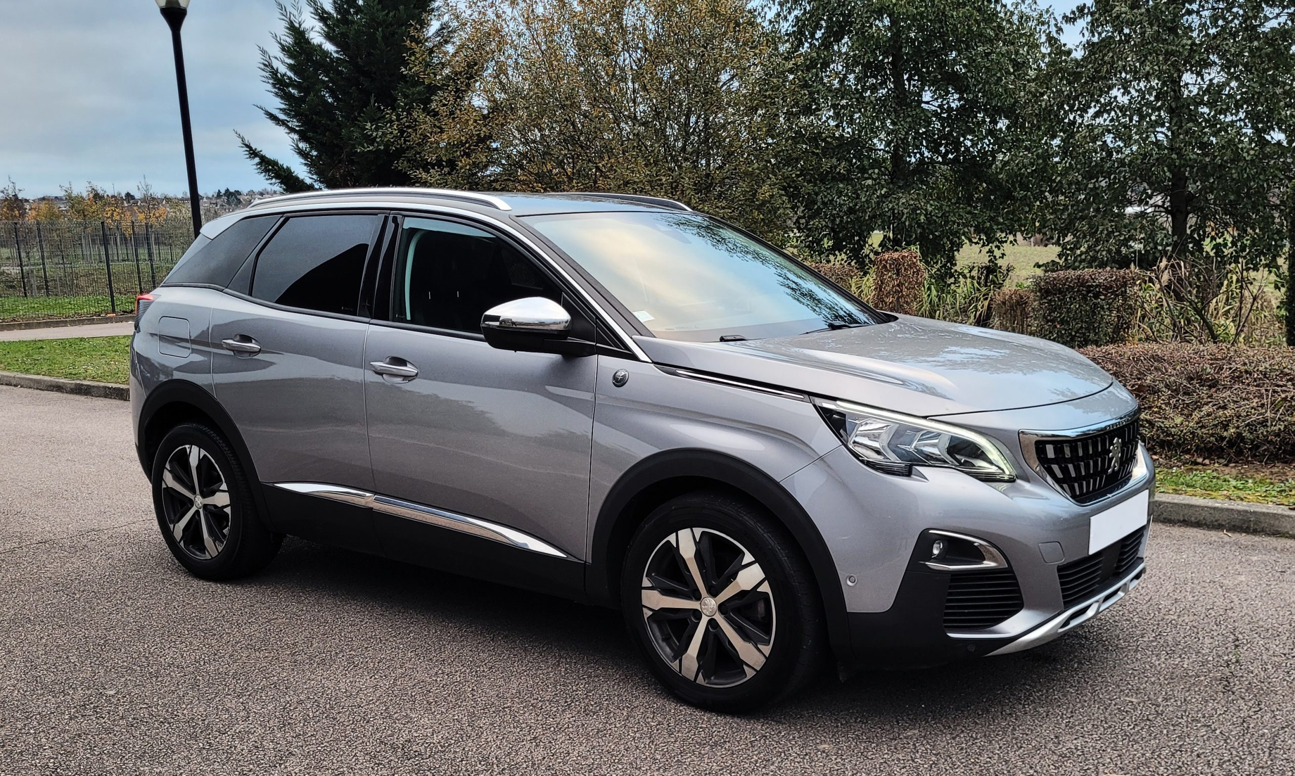 
								PEUGEOT 3008 1.6 BLUEHDI 120 EAT6 CROSSWAY full									
