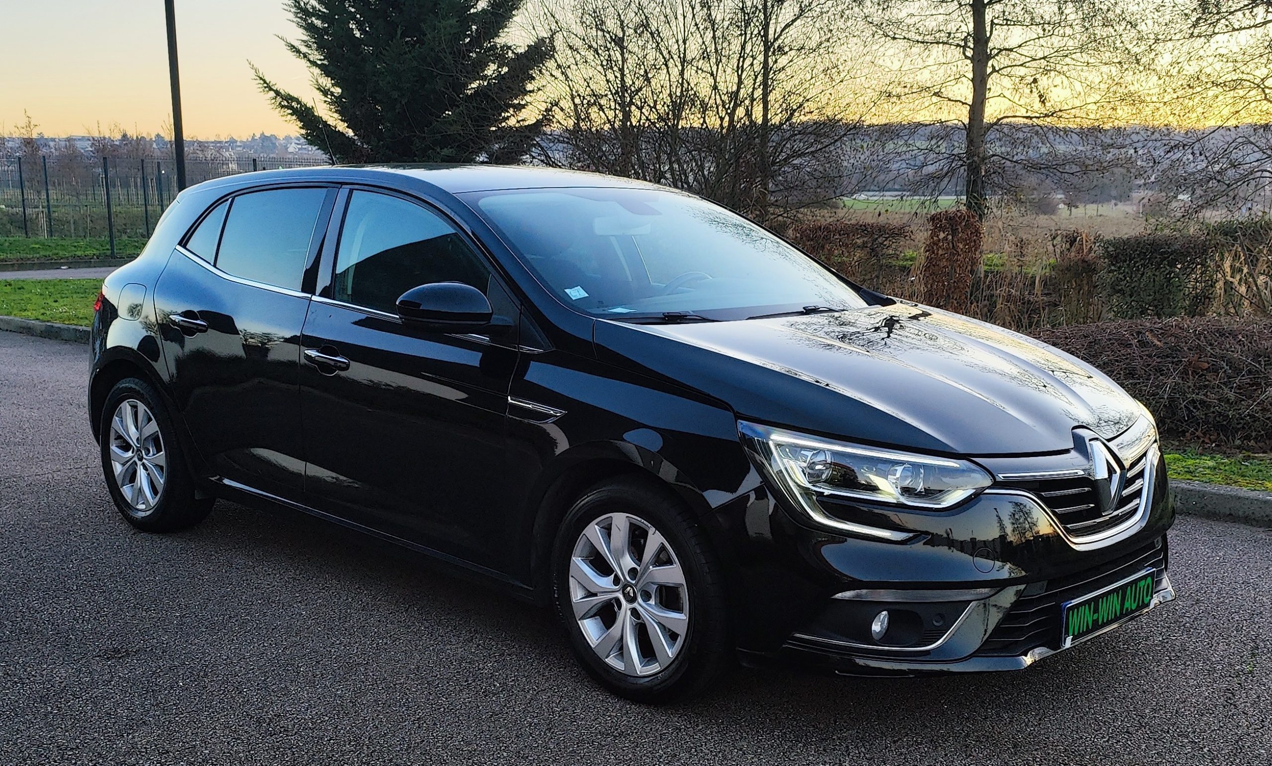 
								RENAULT MEGANE IV 1.5 BLUEDCI 115CH BUSINESS full									